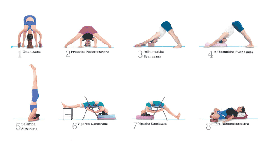 Iyengar+Sequências Yoga1 PDF | PDF | Recreation | Physical Fitness
